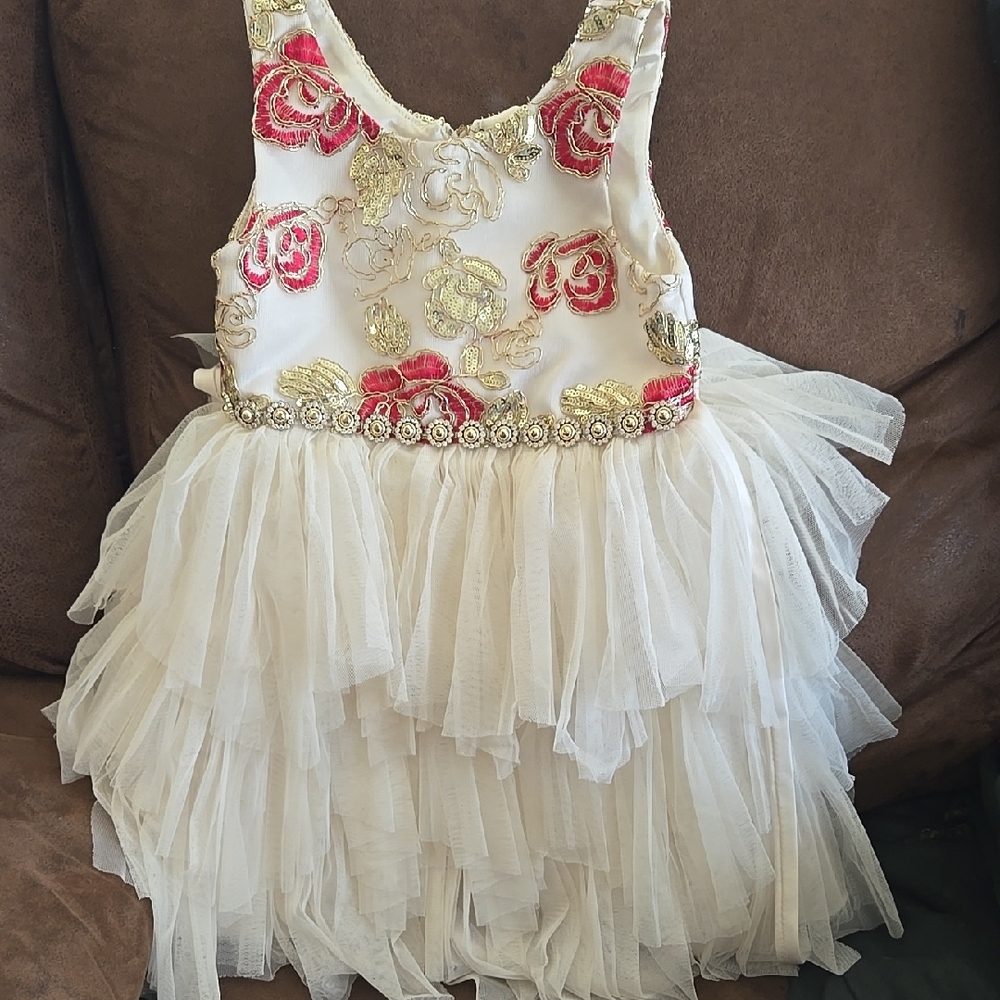 Floral Embroidered Tulle Dress